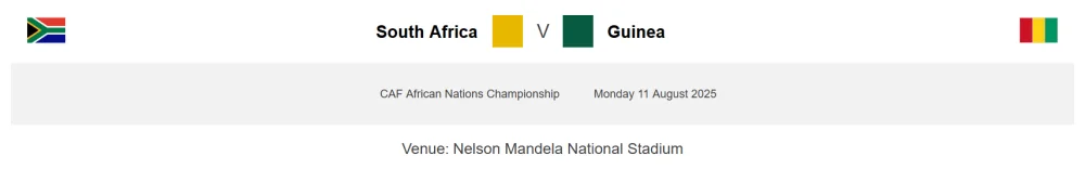 South Africa Vs Guinea
