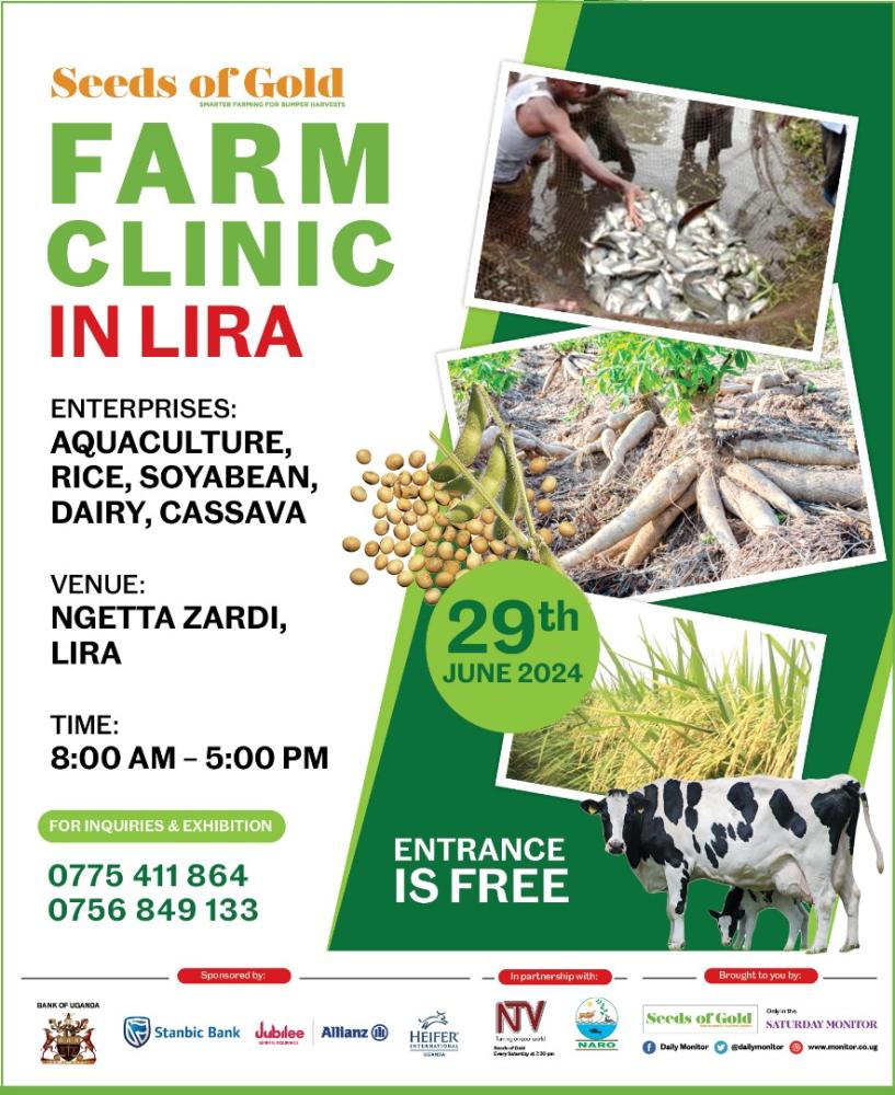 Seeds of Gold Farm Clinic in Lira