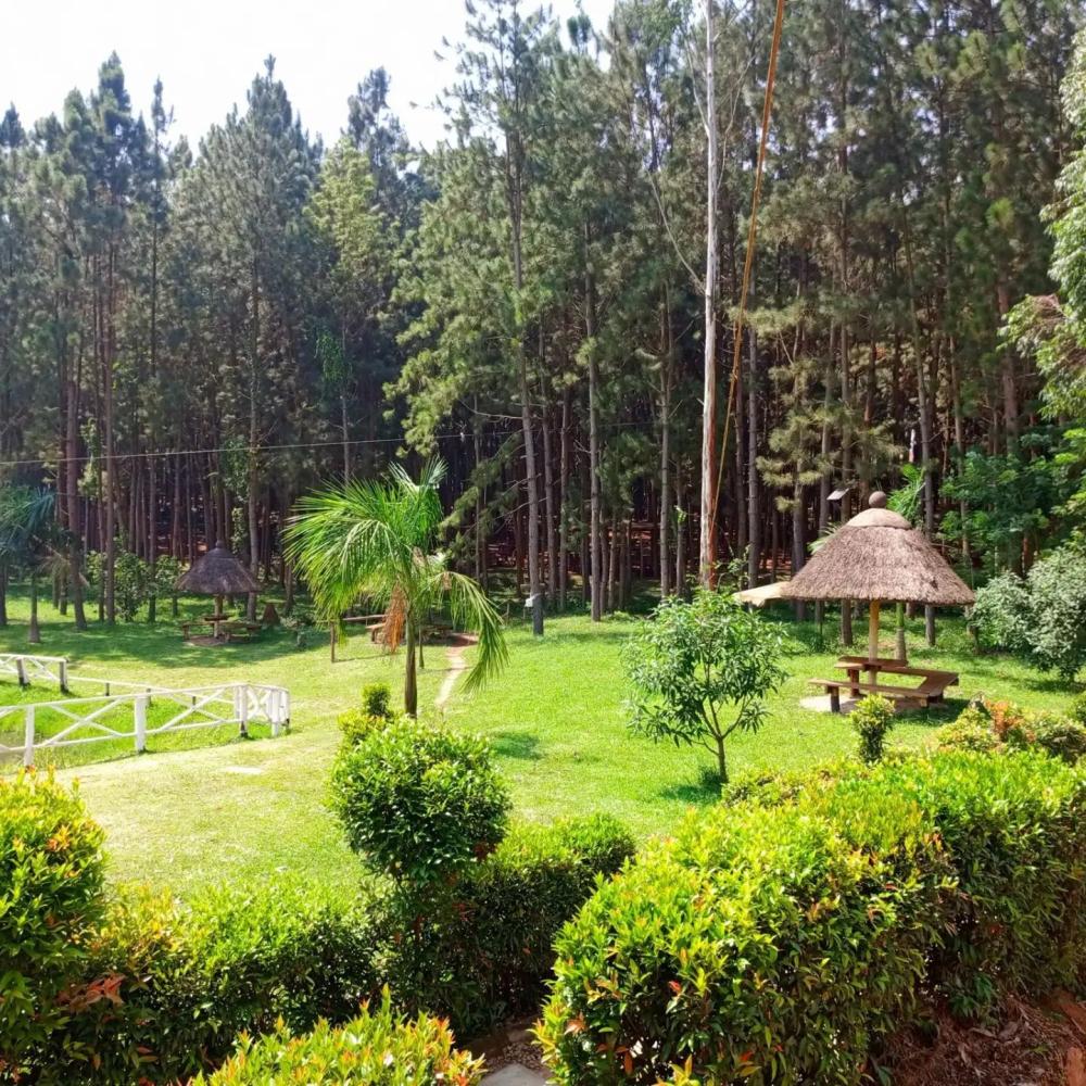 Nyungu Yamawe Forest Park