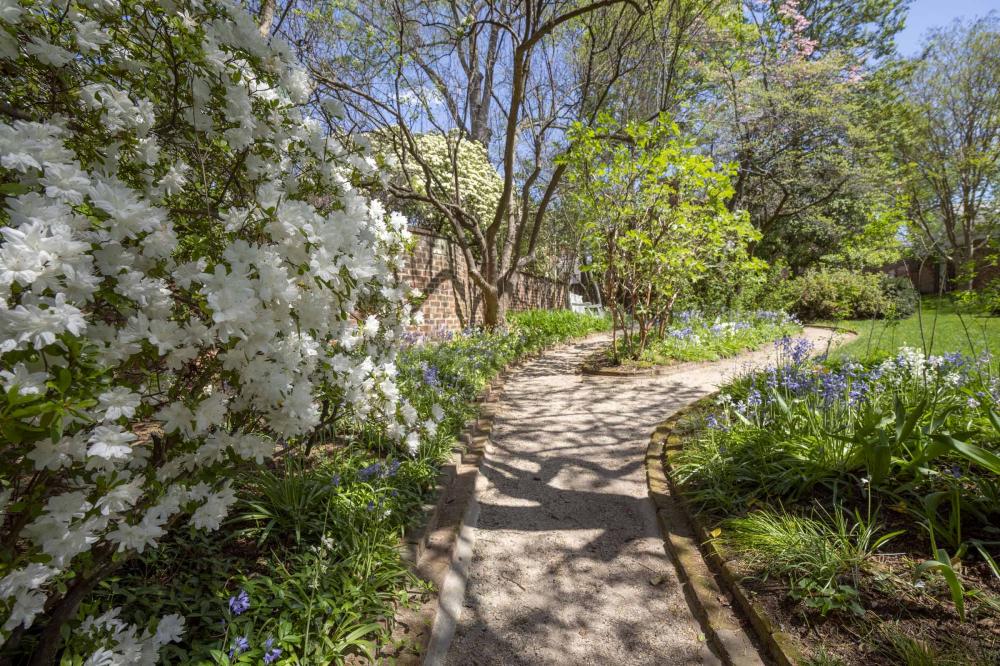 Trans Africa Gardens