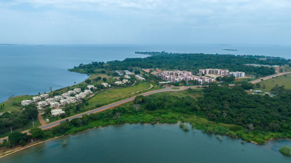 Pearl Marina Estates