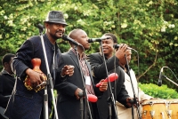 Afrigo Band