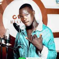 Alfa Wizzy