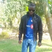 Ash king