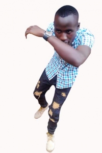 Austin ks DiBoss