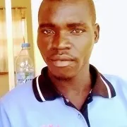 Bal Diszo Music
