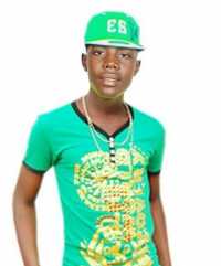 Dar Perfect Ms
