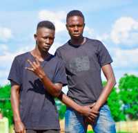Demus Article