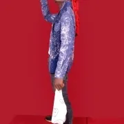 Don Josh