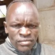 Elia papa