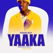 Fiddieboy