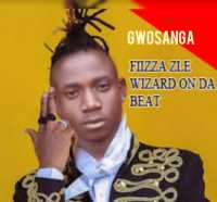 Fizza zle