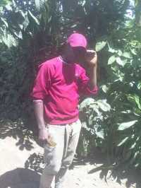Green Amarzon