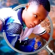 Iceboy 256