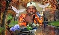 Kesh Filord