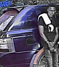 King YCD