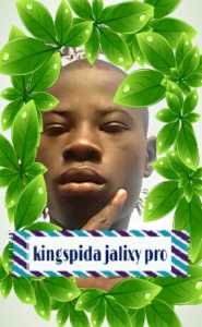 Kingspida jalixy pro