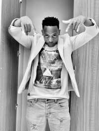 Lion Lm Official