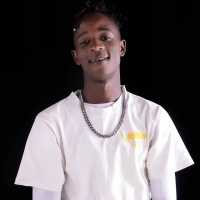 Lyrical Wolf