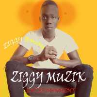 Mc Ziggler