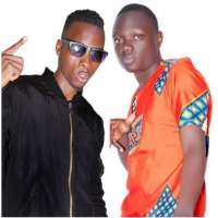 Mj70 and Hp Gold Omuzibu