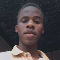 Mr Fantasy