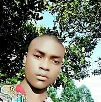 Mr Green