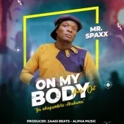 Mr Spaxx 256