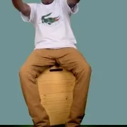 Mr ice