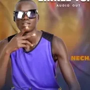 Necha Boi