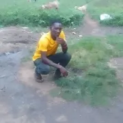 Odima