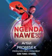 Promise K