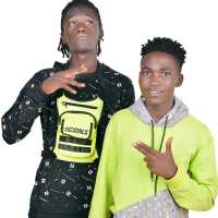 Rox Gang UG