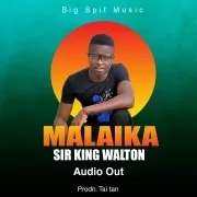 Sir King walton