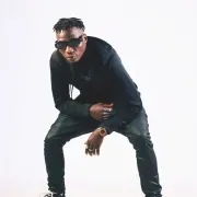 Skecher Banga