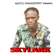 Skylark
