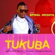 Spinal Mezaya
