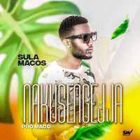 Sula macos