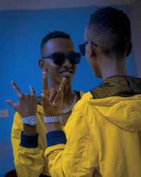 Tonny boy official