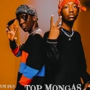 Top Mongas