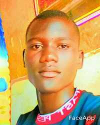 Viper Wizzy
