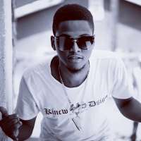 Vizzy Lion