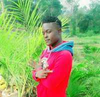 Zill King